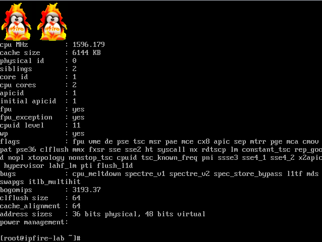 core update cat 19e45